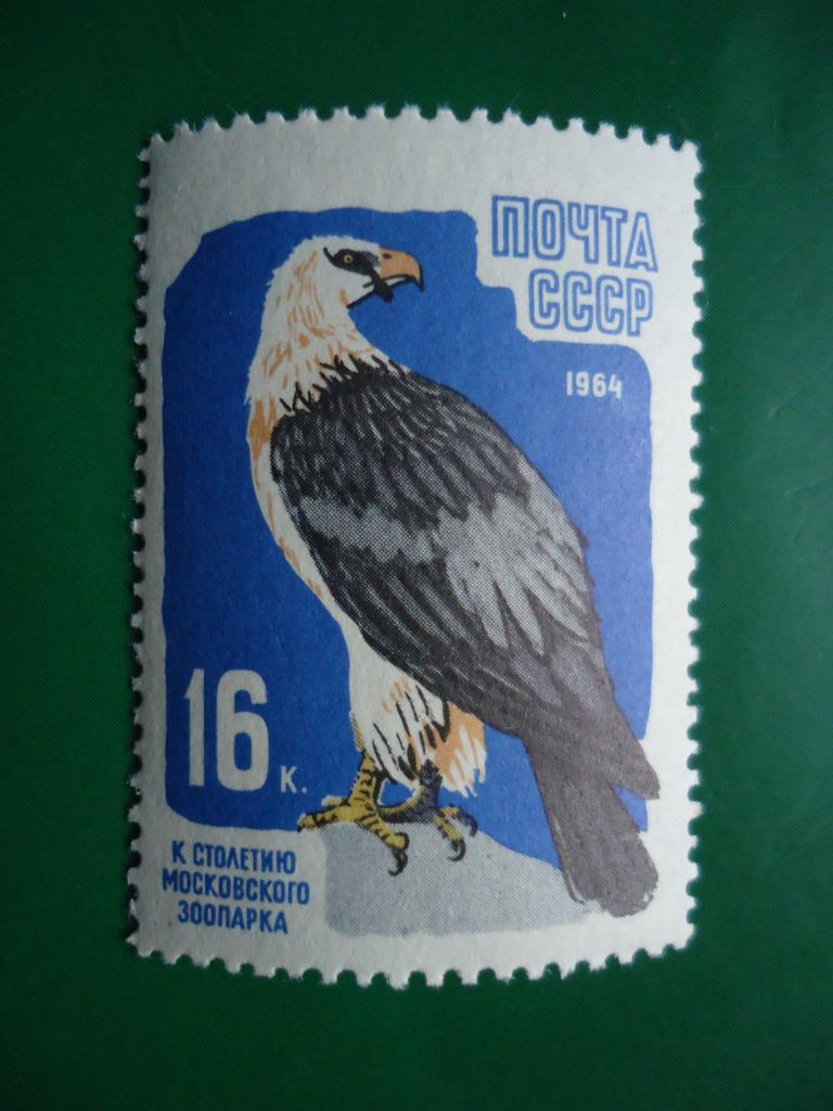 1964 г. СССР  Фауна  Зоопарк  MNH.