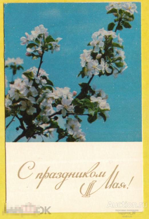 С праздником 1 мая. Двойная. Фото Б. Подгорного. Открытка подписана 1976
