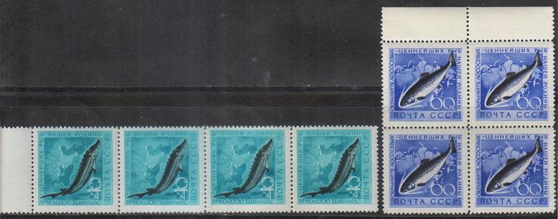 1959 г. МАРКИ СССР. Рыбы. Полоска и квартблок. MNH
