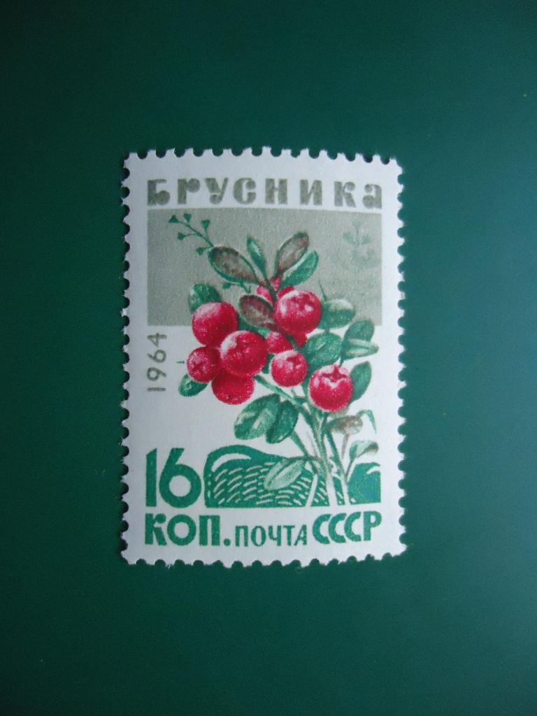 1964 г.  СССР  Ягоды  MNH.