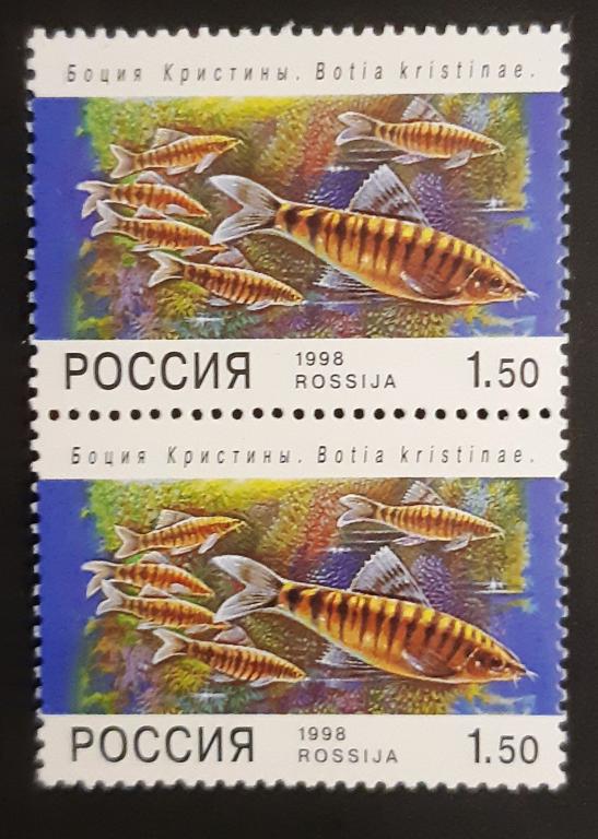 Россия 1998 г. Аквариумные рыбки. Боция Кристины. Пара