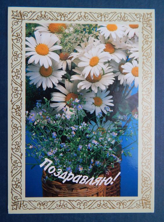 Поздравляю. Ромашки Незабудки Гинсбург Нуршанова 1999