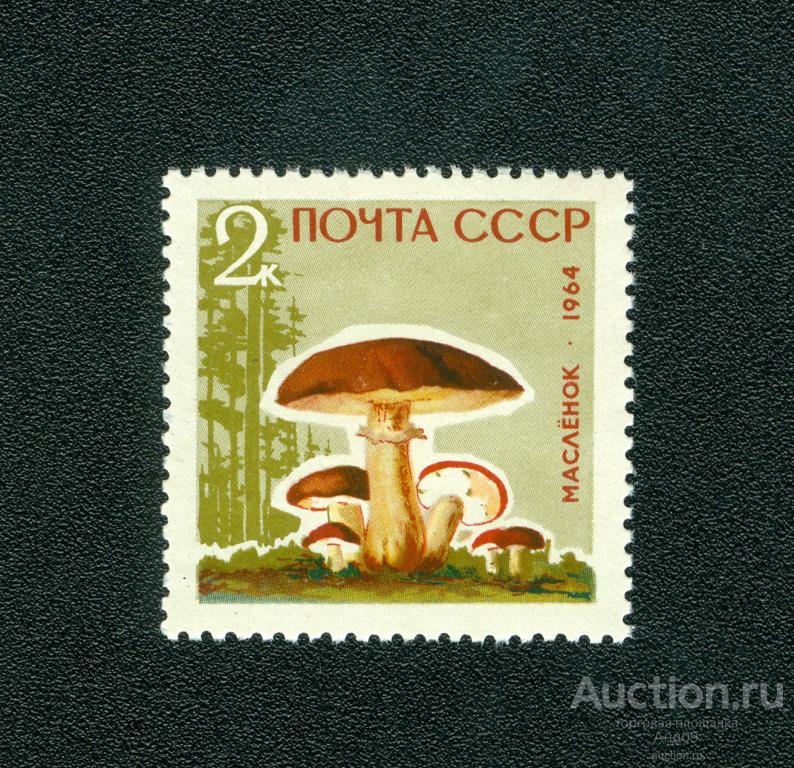 1964 г. Грибы. Маслята – Лак ** (s1177)