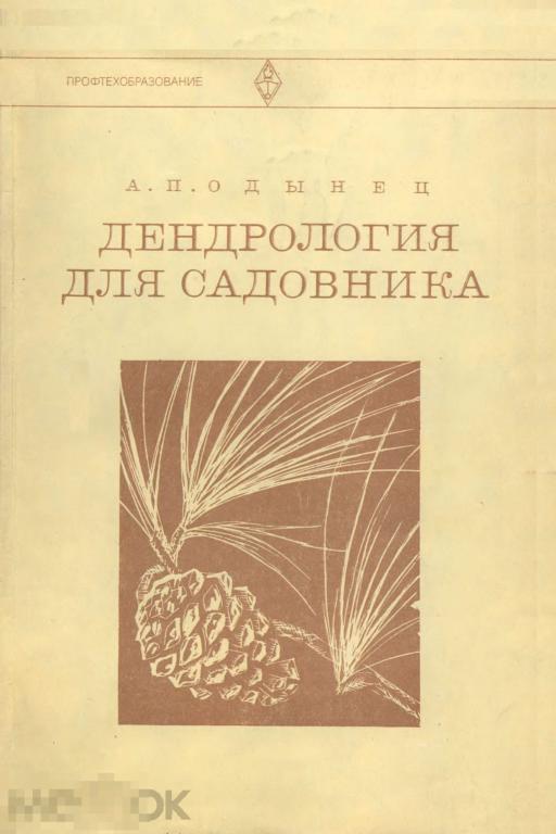 Основы дендрологии. Декоративная дендрология книга. Галактионов декоративная дендрология.