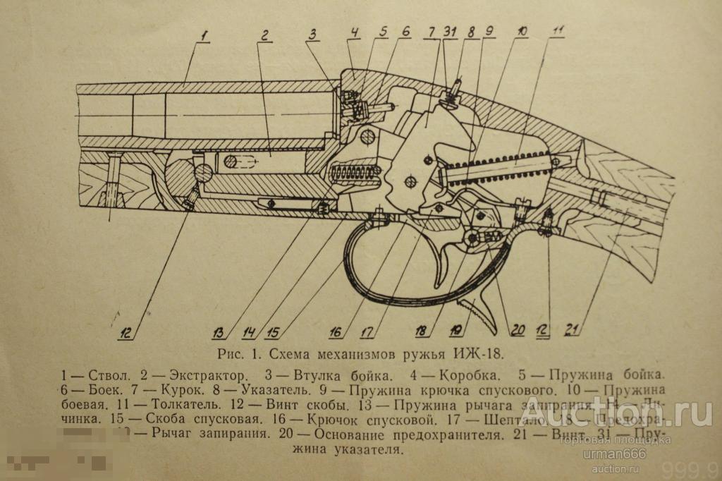 Чертеж двухствольного ружья