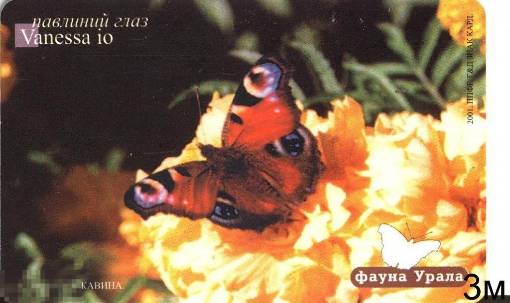 ЕКб. Павлиний глаз 150. 