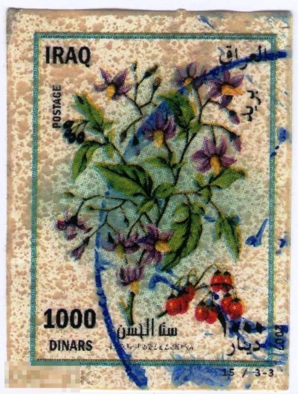 Ирак 2007 Флора Растения Цветы 