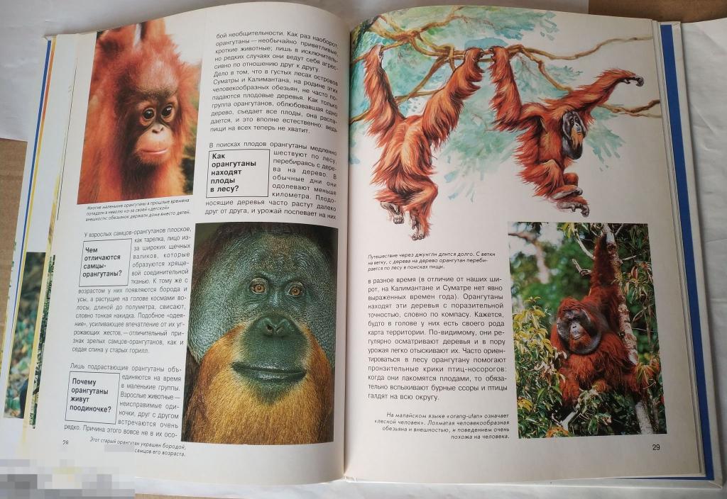Книги Серии Что Есть Что Купить