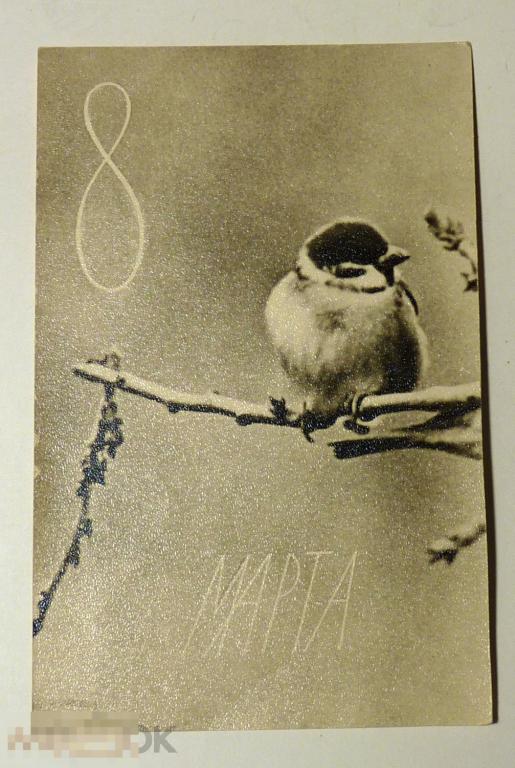 Открытка 8 Марта 1968 птица подписана 