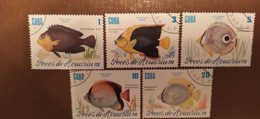 Марки Кубы, 1985, Фауна, Рыбы