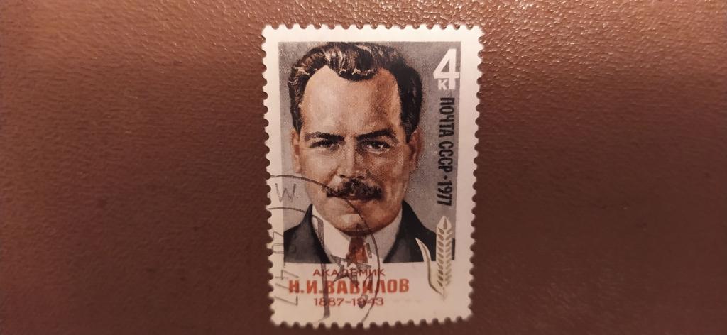 Марка СССР, 1977, Николай Вавилов