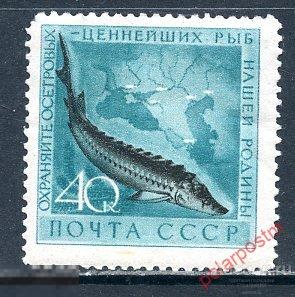 СССР 1959 2246 (2331) ОХРАНА МОРСКОЙ ФАУНЫ. РЫБЫ 