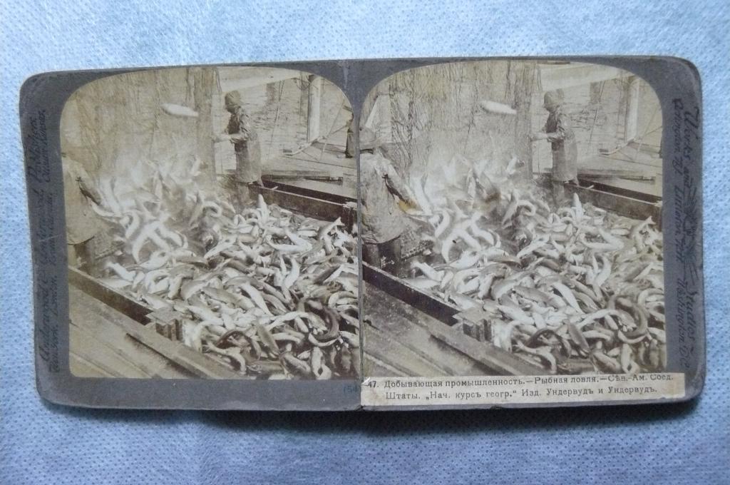 Стереофото. Сев. Америка.Рыбная ловля.