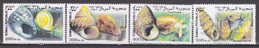 Сомали 1999 моллюски раковины MNH