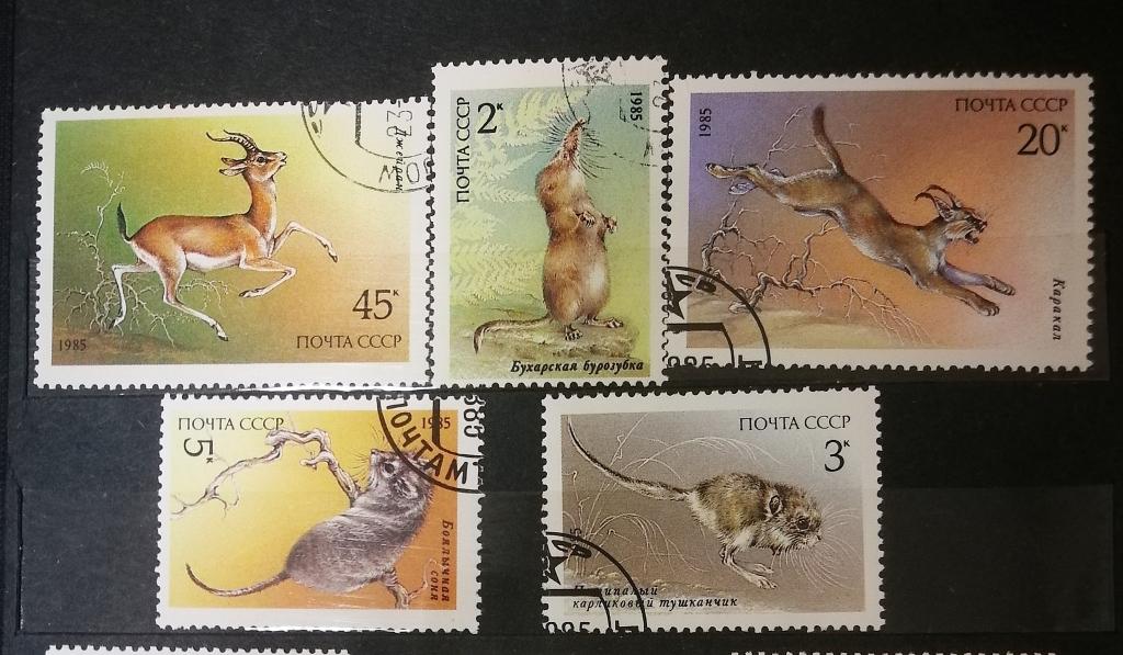 Серия марок красная книга животные . 1985 год. Гашеные.
