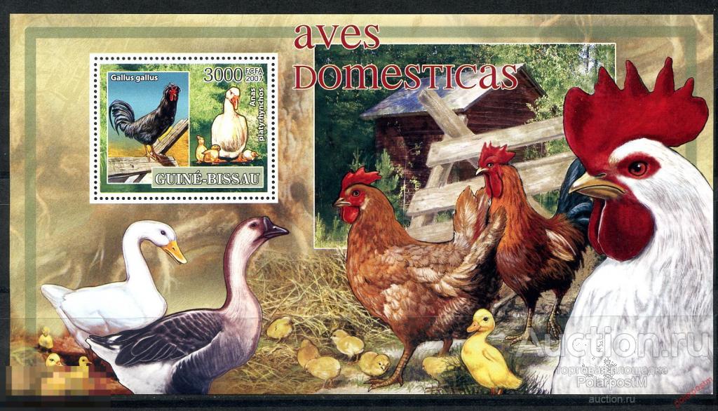 ГВИНЕЯ-БИСАУ 2007 GB0098. ДОМАШНИЕ ПТИЦЫ. 