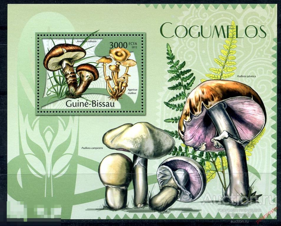 ГВИНЕЯ-БИСАУ 2012 GB0161 ГРИБЫ 