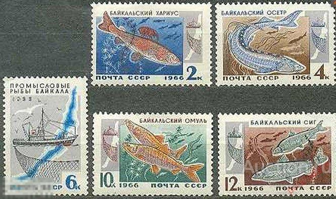 СССР 1966 SK№3313-3317 (3399-3403) ПРОМЫСЛОВЫЕ РЫБЫ БАЙКАЛА 