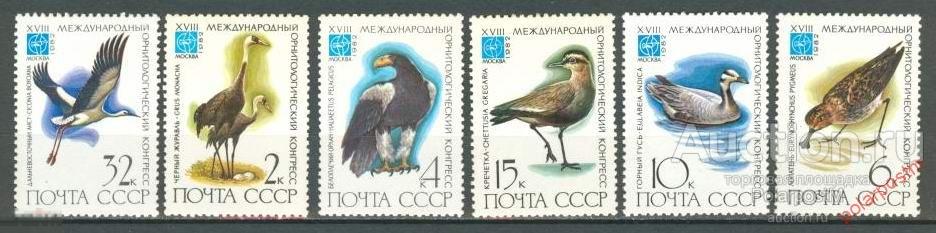 СССР 1982  SK№5231-5236 (5299-5304) XVIII МЕЖДУНАРОДНЫЙ ОРНИТОЛОГИЧЕСКИЙ КОНГРЕСС 