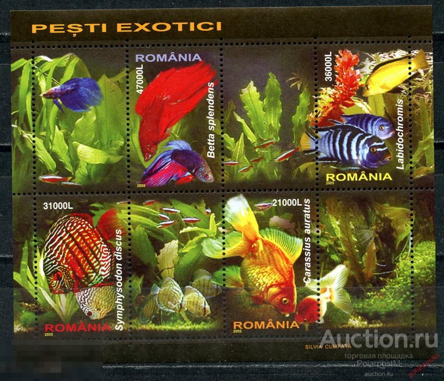 РУМЫНИЯ 2005 5912-5915 (БЛ. 351) Аквариумные рыбы 