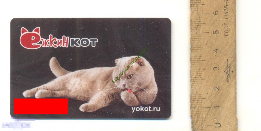 Карта Пластик Ёжкин Кот Ежкин Yokot Ru Йокот Активна Копит Бонусы.