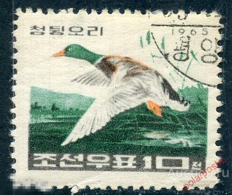 Y85 КНДР (СЕВЕРНАЯ КОРЕЯ) 1965 664 Дикие утки. Птицы. Фауна 