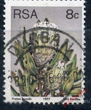 Y85 ЮАР 1977 519 СТАНДАРТНЫЙ ВЫПУСК. ФЛОРА. ЦВЕТЫ. Protea mundii