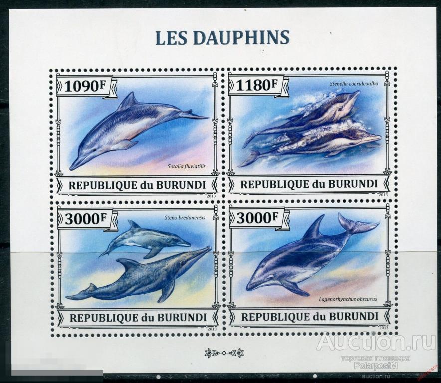 AM40 БУРУНДИ 2013 BU066 Морская жизнь - Дельфины 