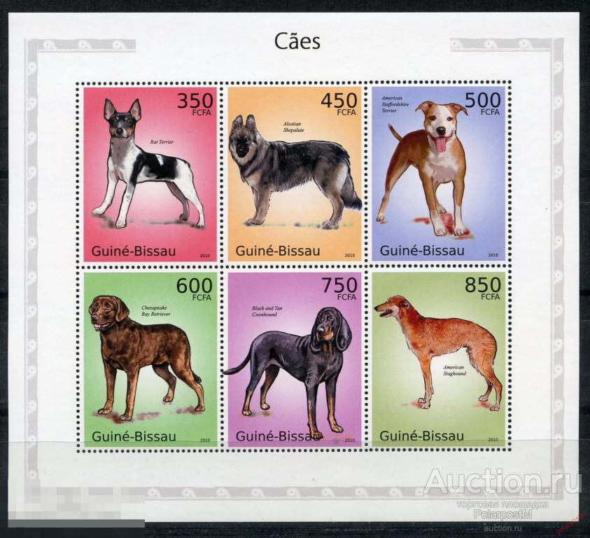 ГВИНЕЯ-БИСАУ 2010 GB0205 Фауна. Собаки 