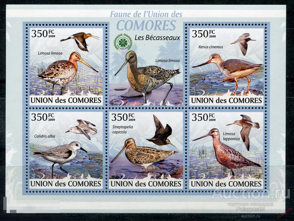 Коморские острова 2009 KU0101 Болотные Птицы. Фауна 
