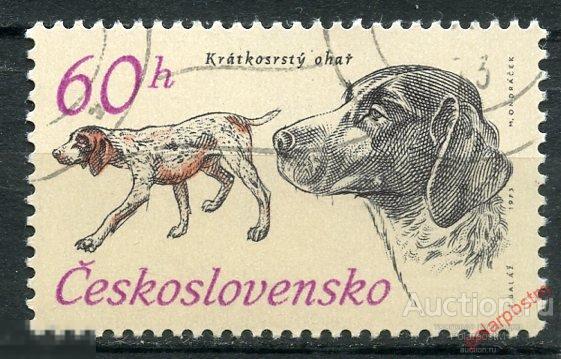 Y85 ЧЕХОСЛОВАКИЯ (ЧССР) 1973 2157 50-летие чехословацкой охотничьей организации. охотничьи собаки 
