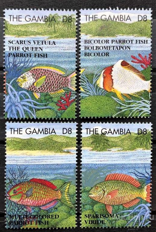 Гамбия 1995 Рыбы Морская фауна моря 4м** в сцепке