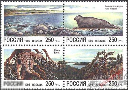 Y85 РОССИЯ 1995 203-206. Совместный российско-финляндский выпуск Природа. Фауна. Тюлени. Хищники 