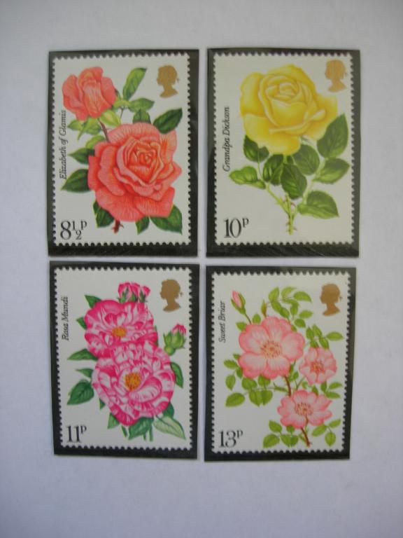 Великобритания 1976 флора - цветы (розы)  MNH