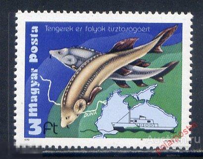 ВЕНГРИЯ 1979 3369 РЫБЫ. ОСЕТРОВЫЕ 