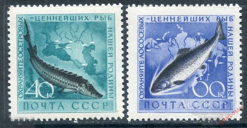 Е150 СССР 1959 2246-2247 (2331-2332) ОХРАНА МОРСКОЙ ФАУНЫ. РЫБЫ 
