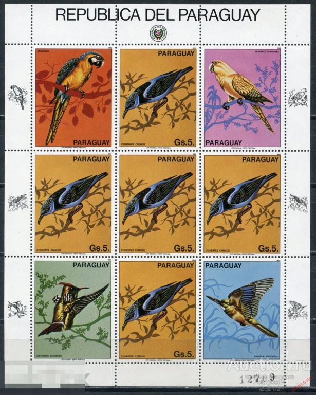 AM40 ПАРАГВАЙ 1983 3674 Птицы. Попугаи. Фауна 