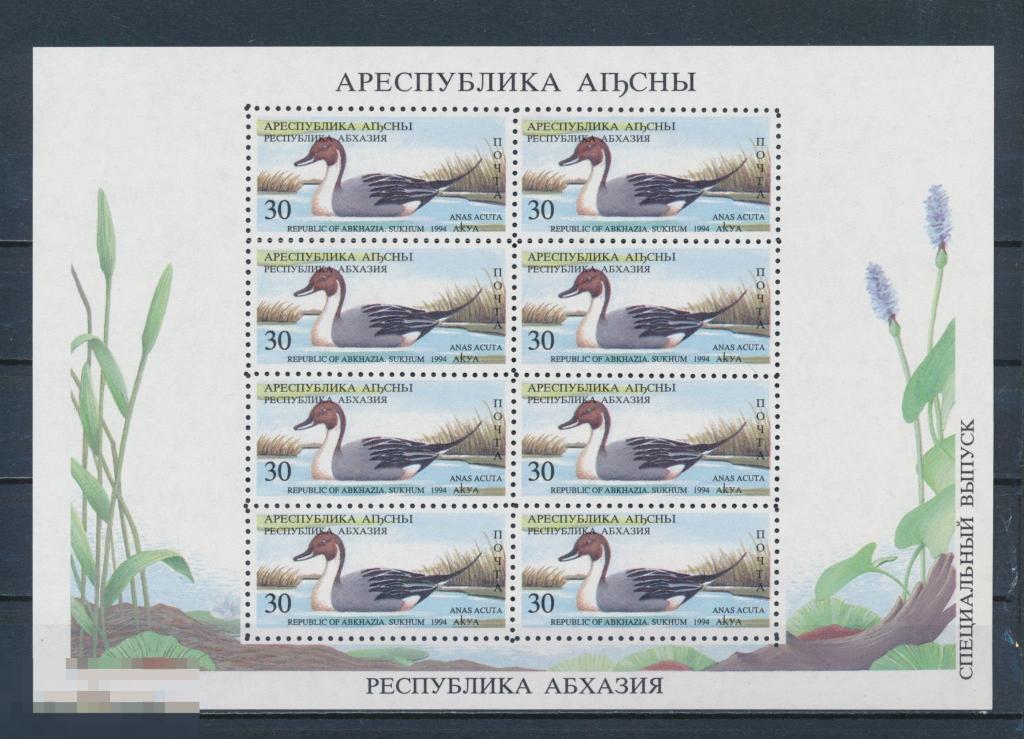 Абхазия 1994 MNH - Птицы Кавказа. Утка-шилохвост. Акуа. Фауна 