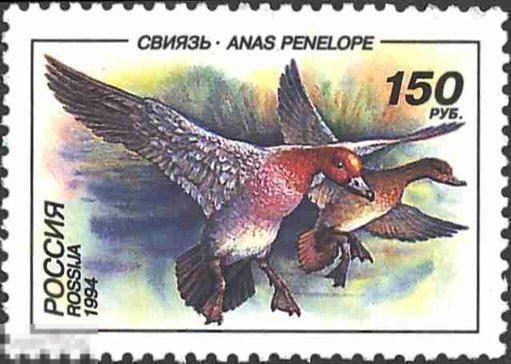Россия 1994 MNH - Утки России - Свиязь - Птицы Фауна 