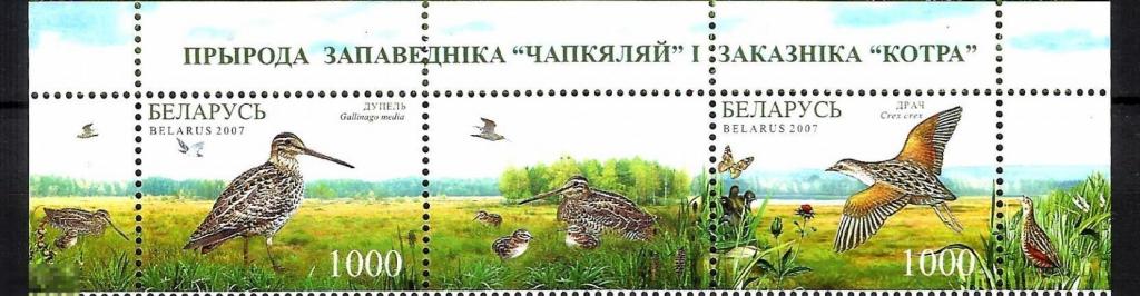 Беларусь Белоруссия 2007 MNH - Птицы Охрана природы Заповедник Красна книга 