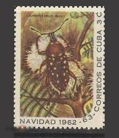Куба 1962 MNH - Насекомые Жук Рождество Насекомые Фауна 
