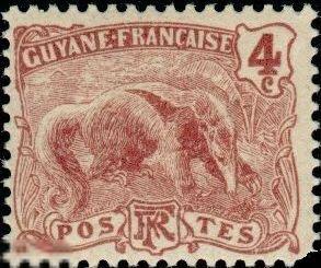 Французская Гвиана 1904 MH - Муравьед Стандарт Фауна Млекопитающие 