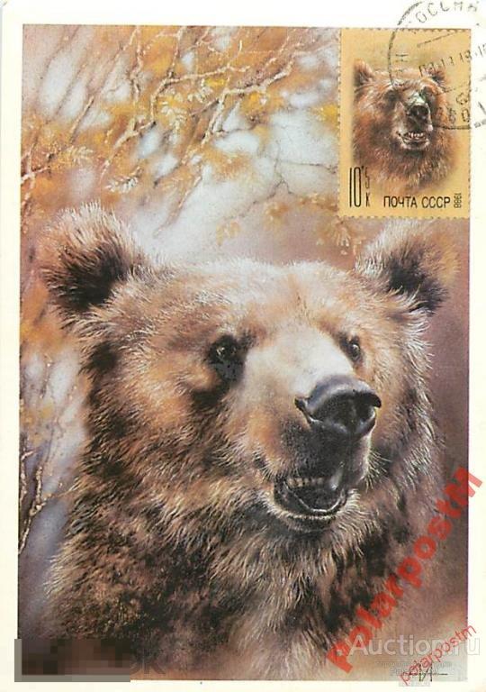 РОССИЯ 1992. ЗАПОВЕДНИКИ РОССИИ Центральный биосферный заповедник. Калининская область 