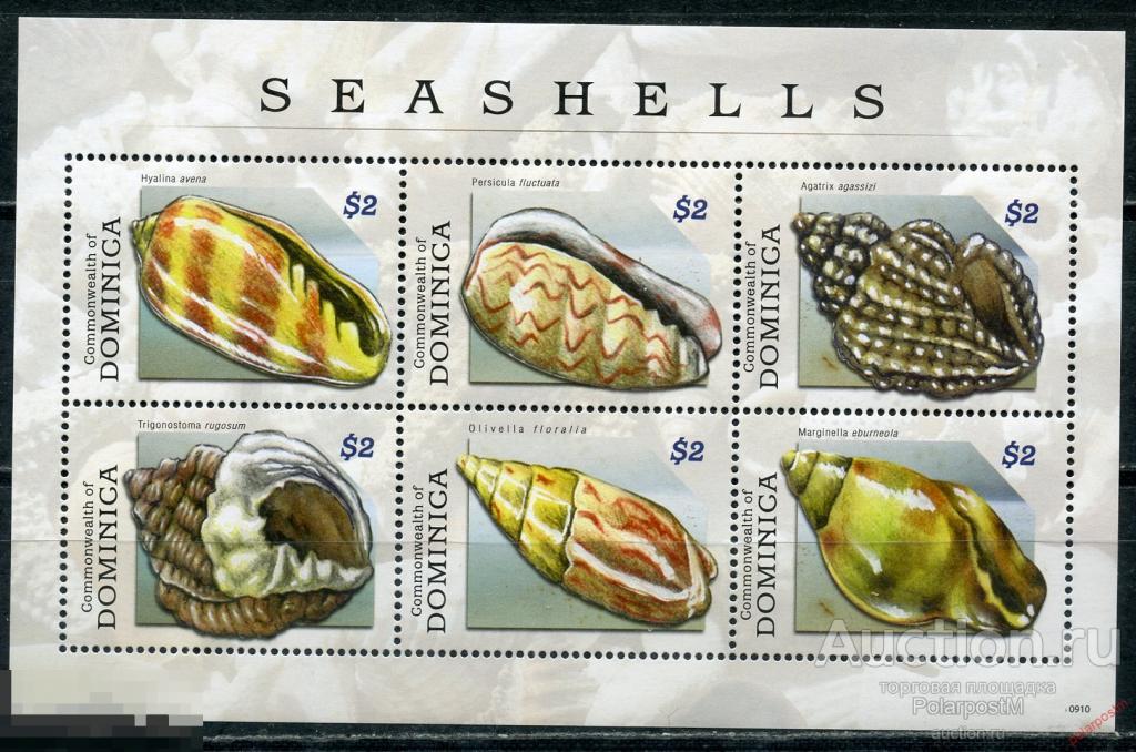 AM40 Доминика 2009 3961-3966 Морская жизнь. Моллюски. Морские ракушки 