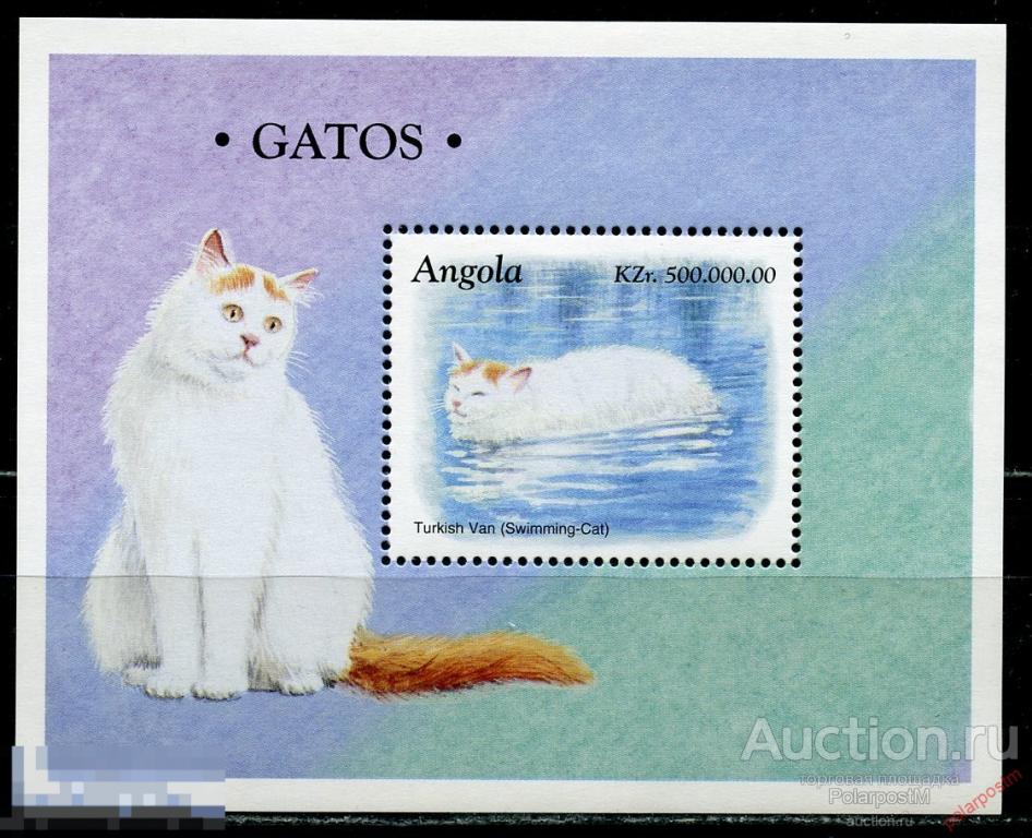 AM40 АНГОЛА 1998 1217 (BL.44) Фауна. Домашние кошки 