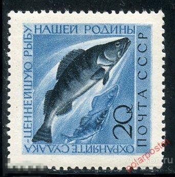 Y85 СССР 1960 2382 (2467) ФАУНА СССР. ОХРАНА РЫБ И МОРСКИХ ЖИВОТНЫХ 