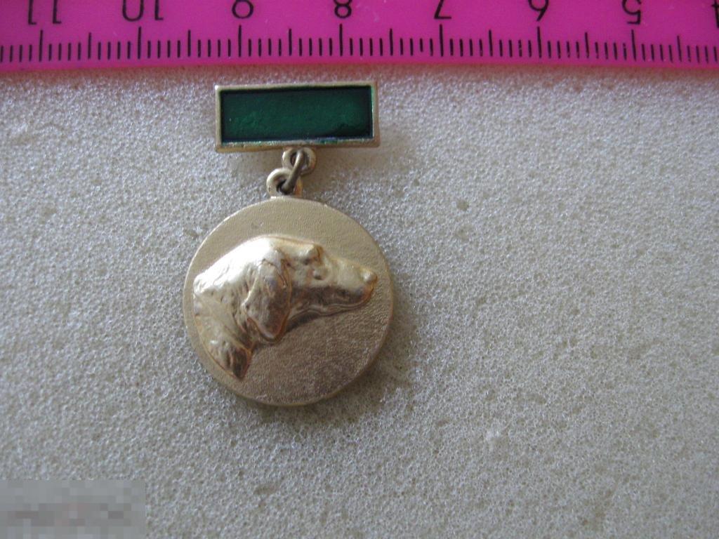 Собачья медаль, жетон, овчарка, собаководство, эмаль, колодка, булавка, нечастая, №С-24