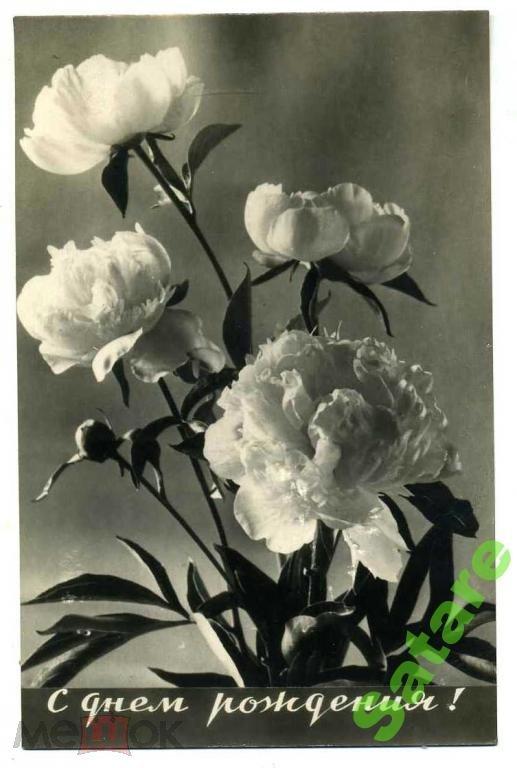 С днём Рождения_Сэккэ А_1963г