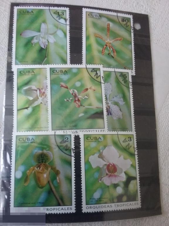 1973 Куба,орхидеи,цветы 