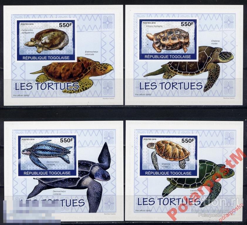 КР 11-2 ТОГО 2010 Черепахи 